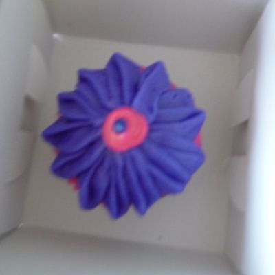 Fancy Cupcake