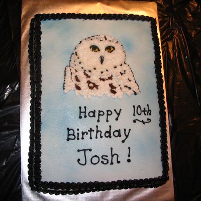 Great White Owl Cake