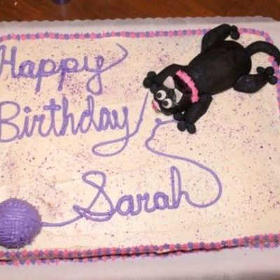 Cat Cake For A Little Girl