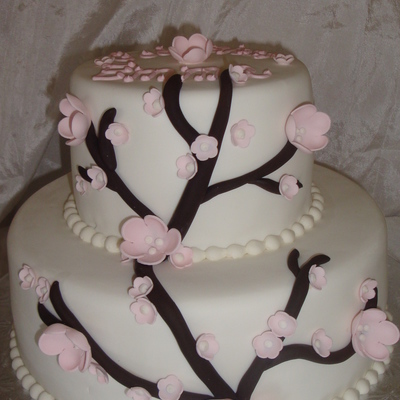 Cherry Blossom (Baptism)