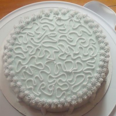 First Cake From Wilton I