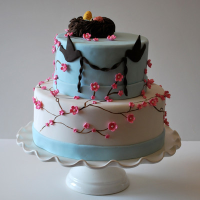 National Capital Area Cake Show 2010