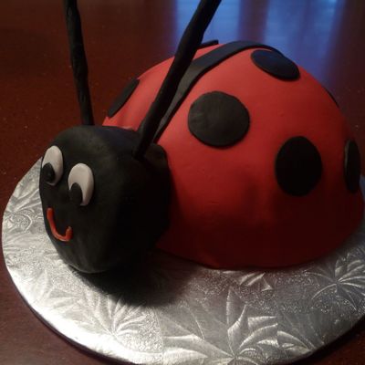 Ladybug