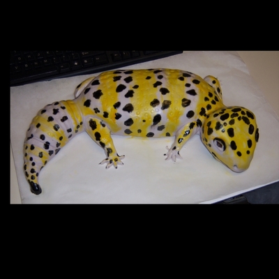 Leopard Gecko