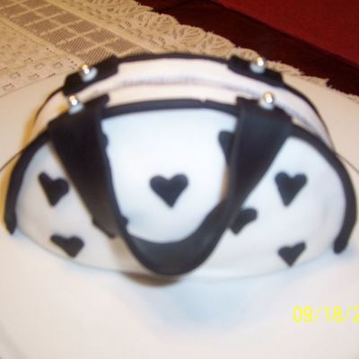 Mini Balck & White Purse