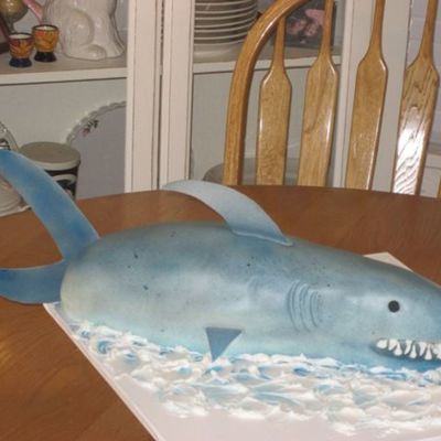 Shark Cake