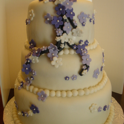 Purple Cherry Blossoms