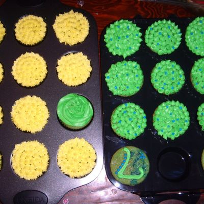 Cousin's Birthday Cupcakes