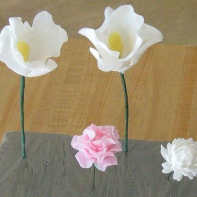 Fondant Flowers