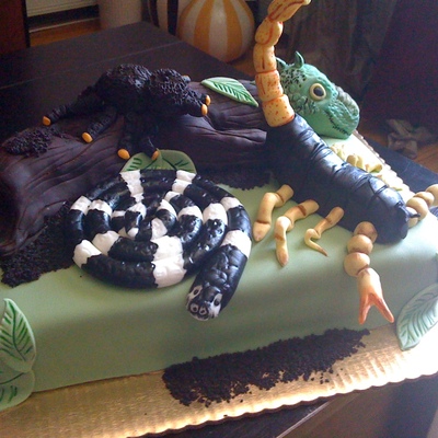 Scorpions,spiders And Snakes Oh My!