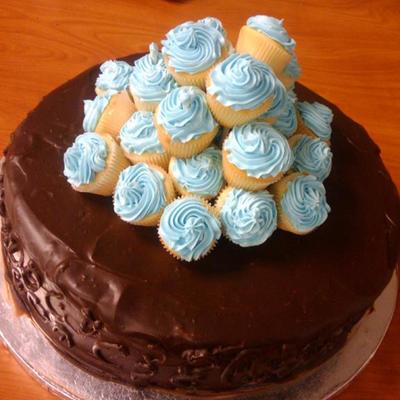 Chocolate Cake W/mini Cupcakes