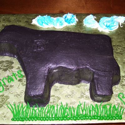 Steer Cake