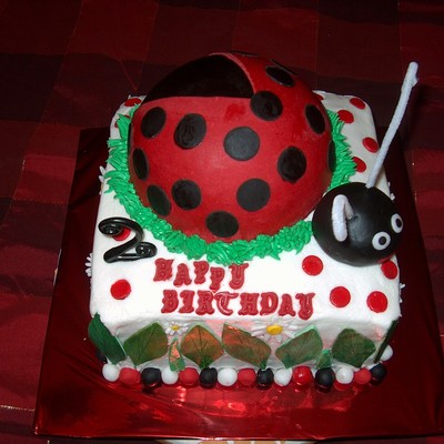 Lady Bug Cake