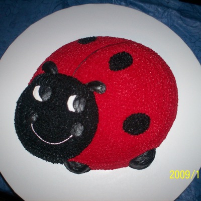 Ladybug
