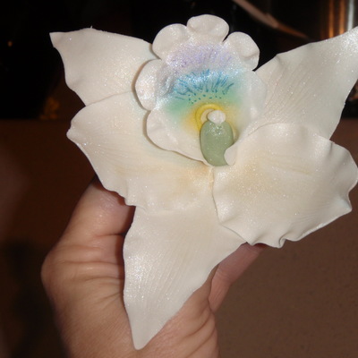 Gumpaste Orchid