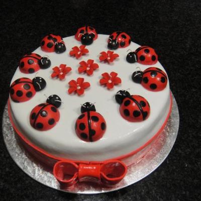 Lady Bug Cake