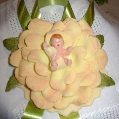 Rose With A Baby Boy.