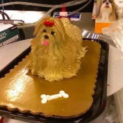 Shih Tzu Cupcake