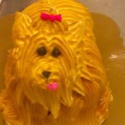 Yorkie Cupcakes