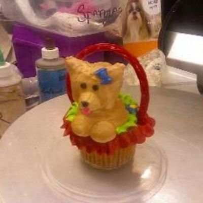 Puppy Cupcake