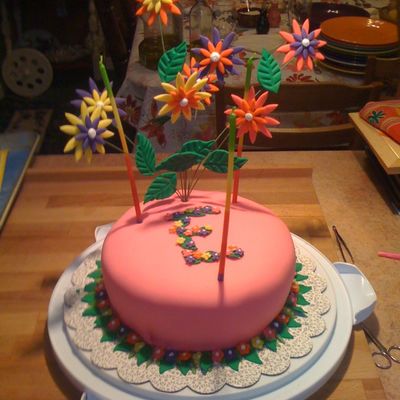 Erin's Birthday Cake