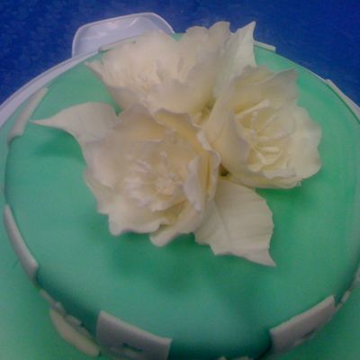 Fondant And Gumpaste Class