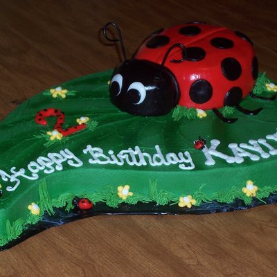 Ladybug On A Leaf Birthday Cake