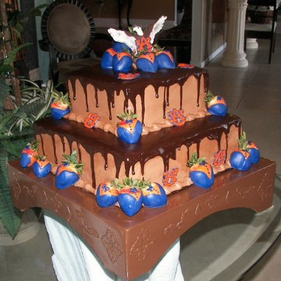 Auburn Themed Groom's Cake
