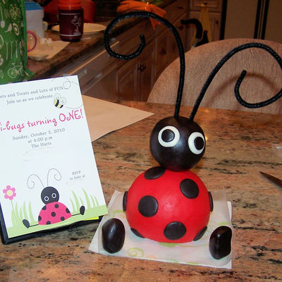 Lilli-Bug