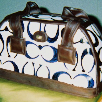 Coach Purse Cake Ii