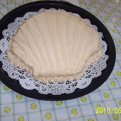 Sea Shell
