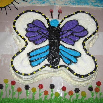Butterfly