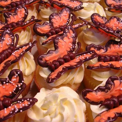 Butterfly Cupcakes