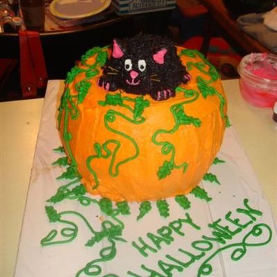 Giant Pumpkin With Kitten