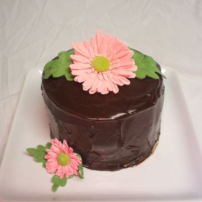 Gerber Daisy Cake