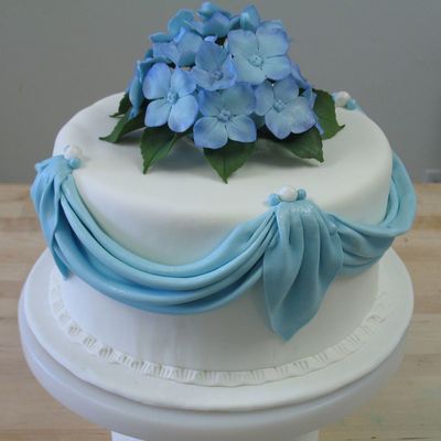 Hydrangea