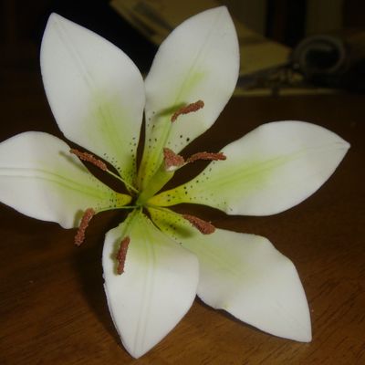 Lily