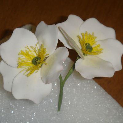 Briar Roses