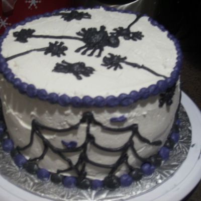 Spiders And Their Webs