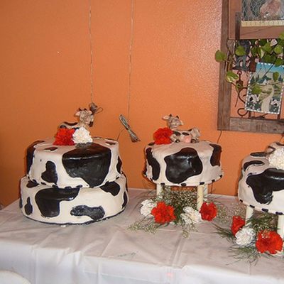 With A Moo Moo Here And A Moo Moo There ....