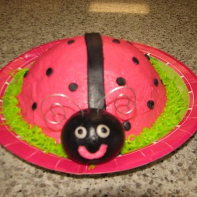 1St Birthday Ladybug Smash Cake