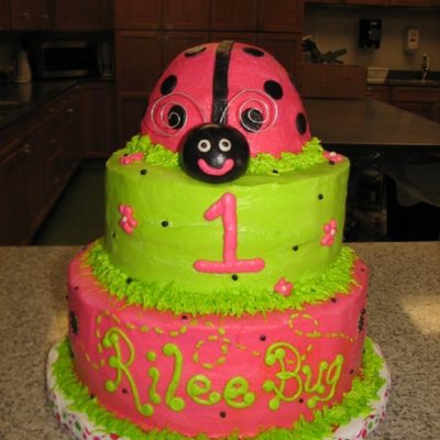 1St Birthday Ladybug