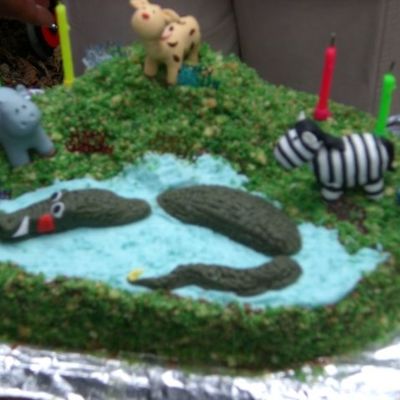 Crocodile Cake