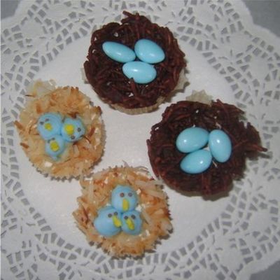 Baby Blue Bird Nests
