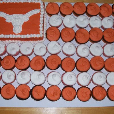 Texas Longhorn Flag Cupcake Cake