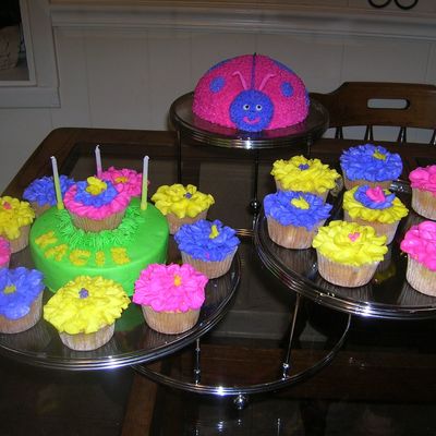 Ladybug Cake & Flower Cupcakes