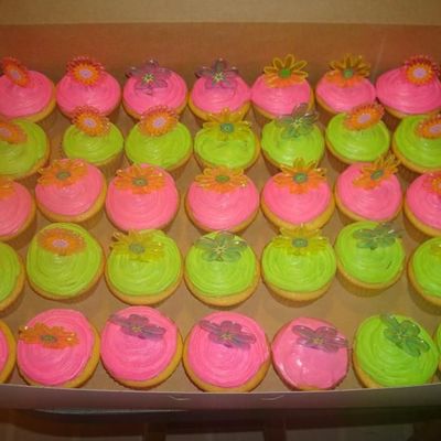 Lime And Pink Cupcake