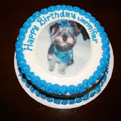 Doggy Cake