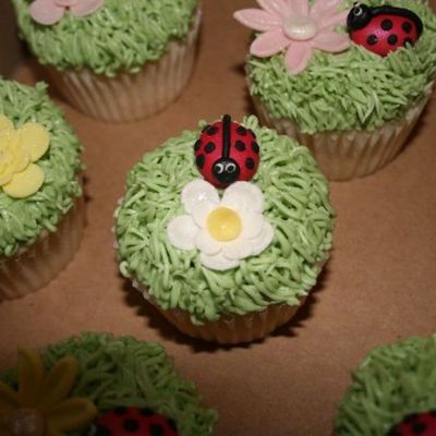 Ladybugs And Flowers Cupcakes