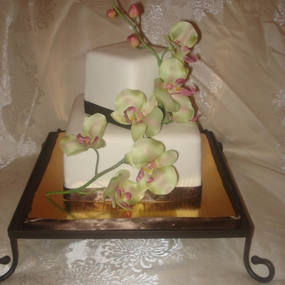 Small And Elegant Orchids